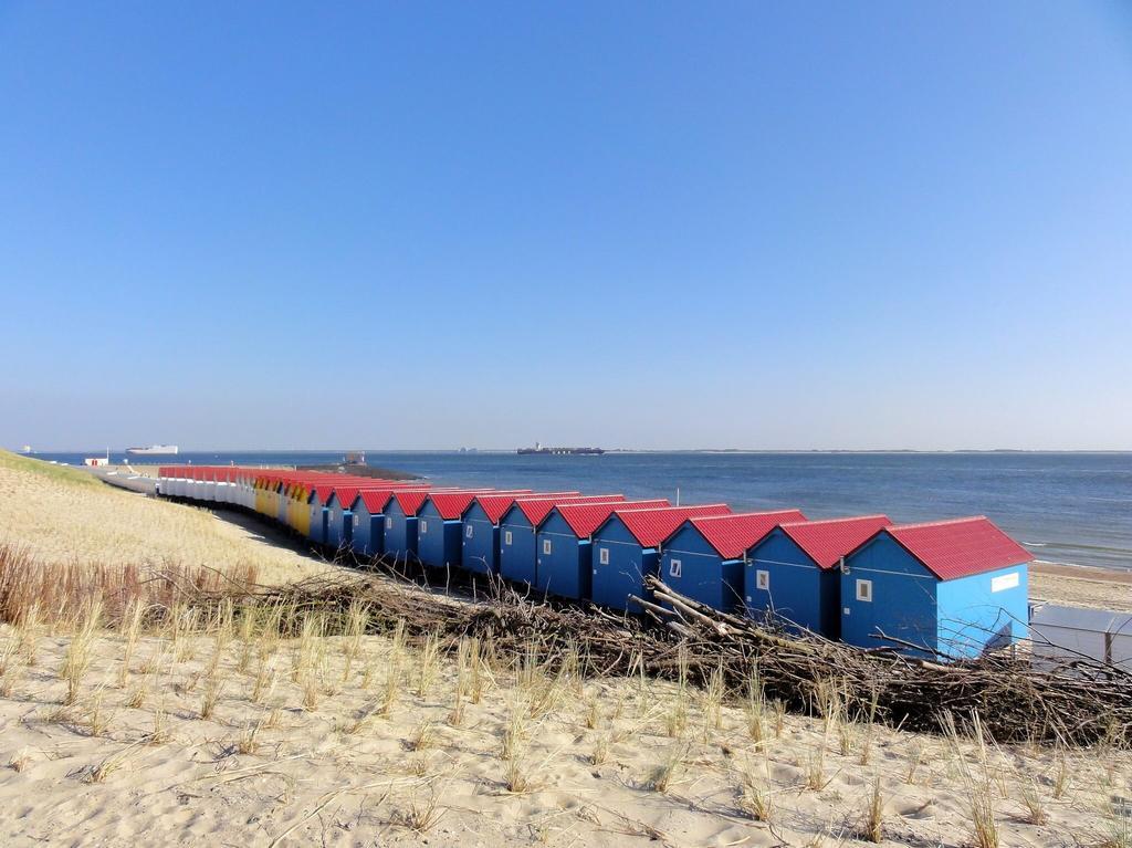 B & B Het Strandhuis 弗利辛恩 外观 照片